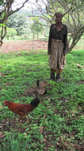Wayzay and her rooster
